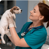 dr. Katona Ramona vezeto allatorvos